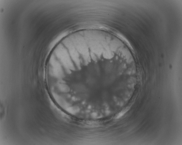 X0000081311095200702012328