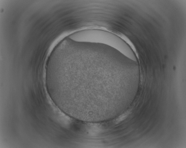 X0000081311096200702012328