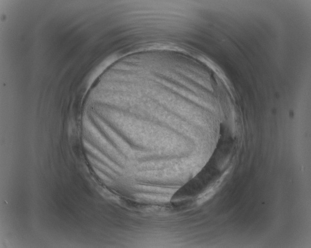 X0000081311097200702012328