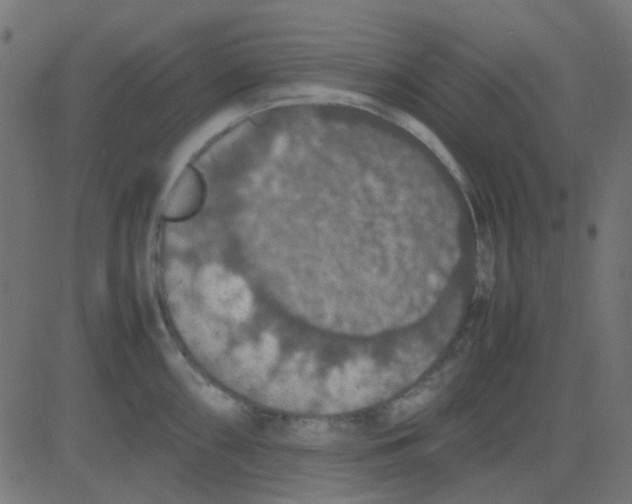 X0000081311098200702012328