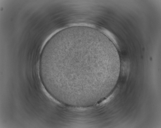 X0000081311100200702012328