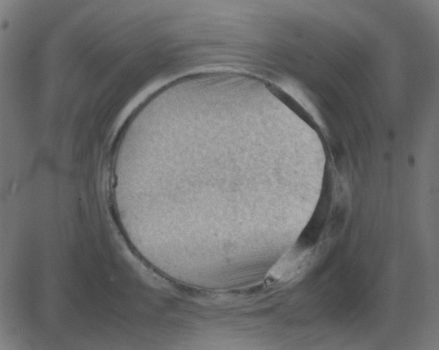 X0000081311101200702012328