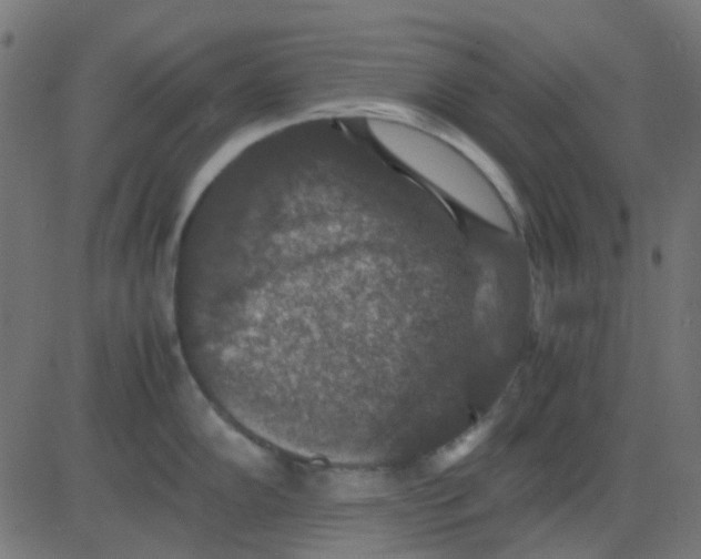 X0000081311102200702012328