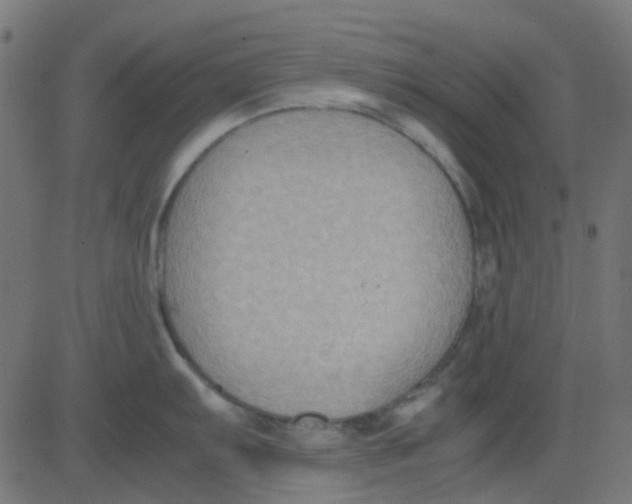 X0000081311103200702012328