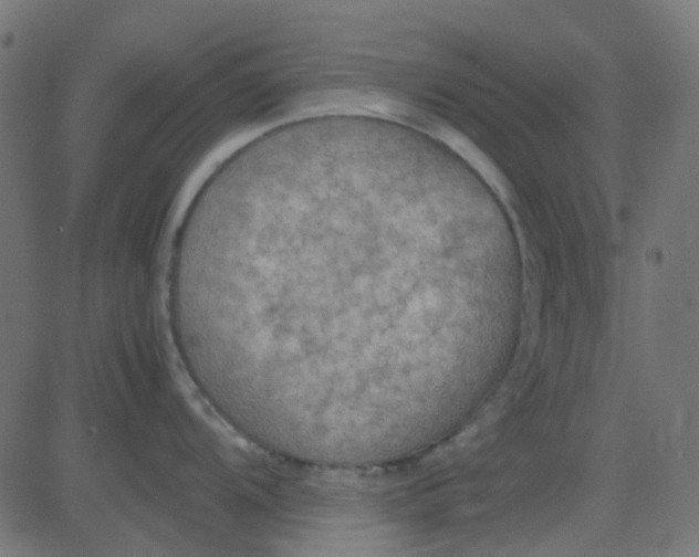 X0000081311104200702012328