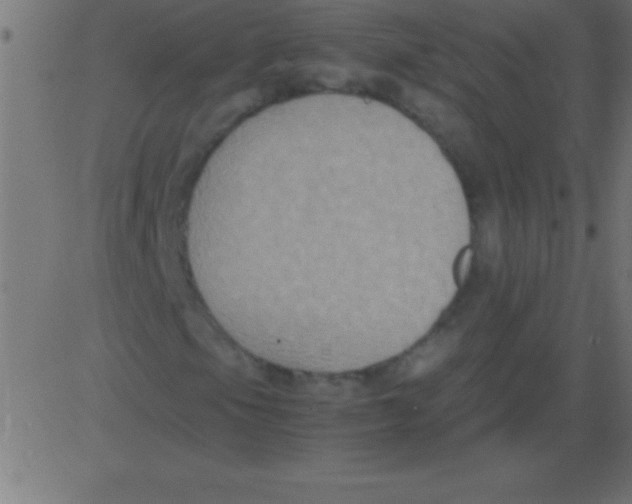 X0000081311105200702012327