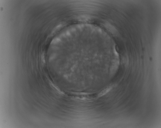 X0000081311106200702012327