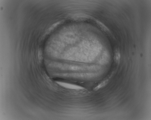 X0000081311108200702012327