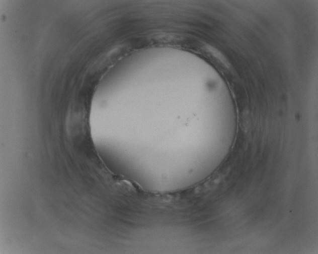 X0000081311111200702012327