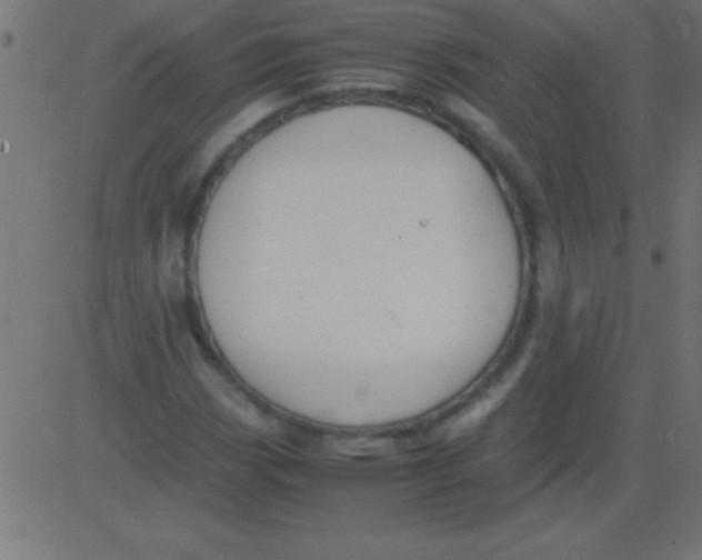 X0000081311113200702012327