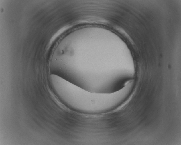 X0000081311114200702012327