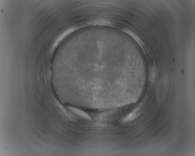 X0000081311115200702012327