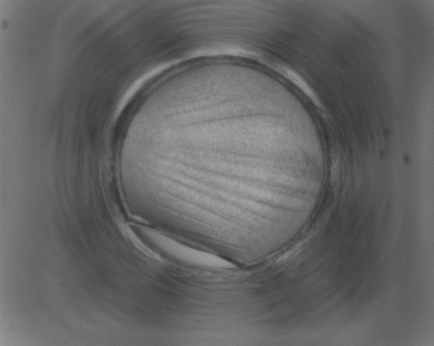 X0000081311116200702012327