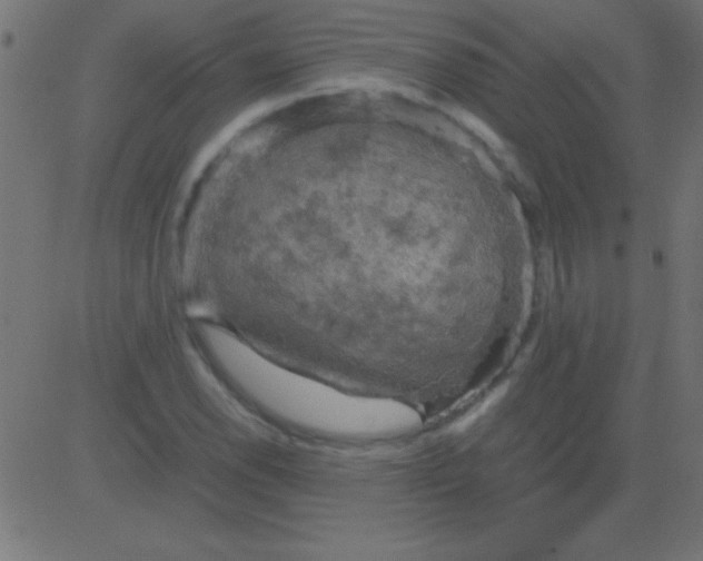 X0000081311118200702012327