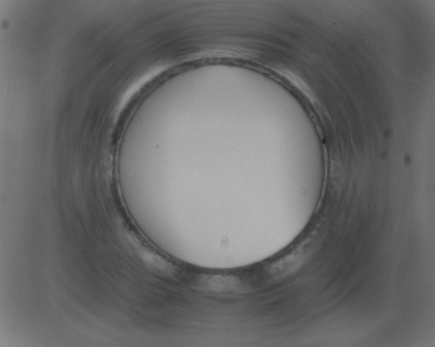 X0000081311119200702012327