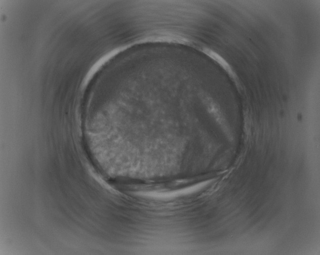 X0000081311120200702012327