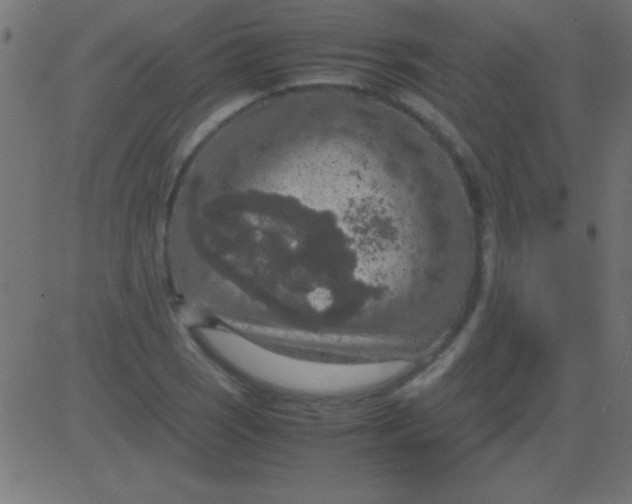 X0000081311121200702012327