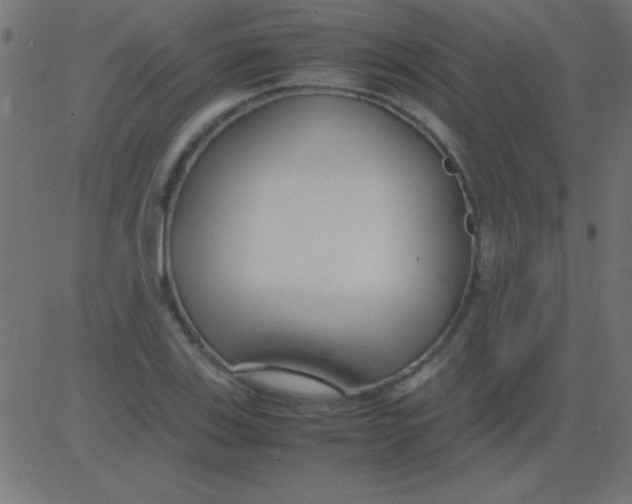 X0000081311123200702012327