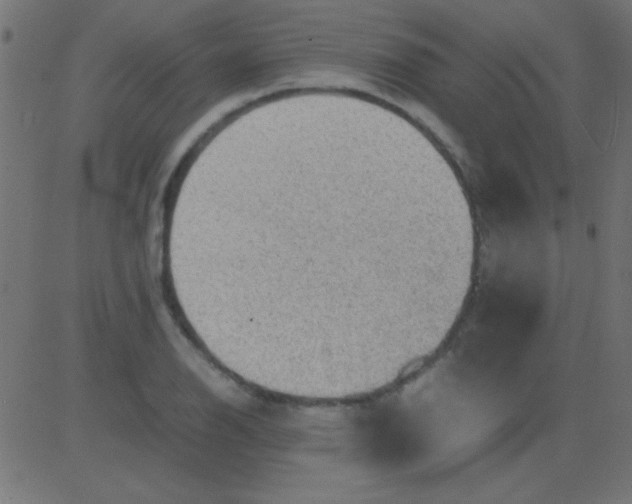 X0000081311126200702012327