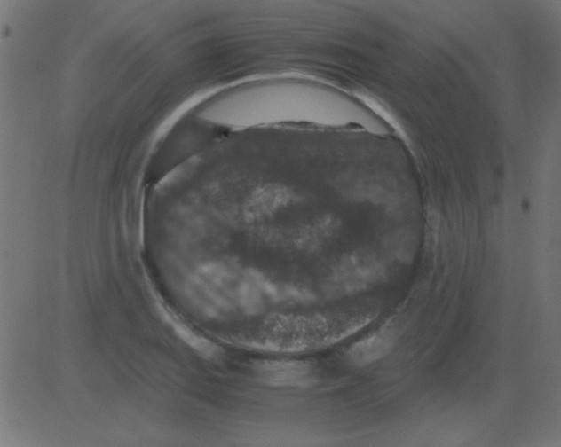 X0000081311127200702012327