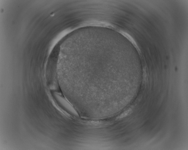 X0000081311128200702012327