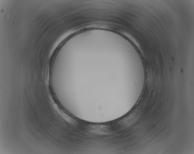 X0000081311131200702012328