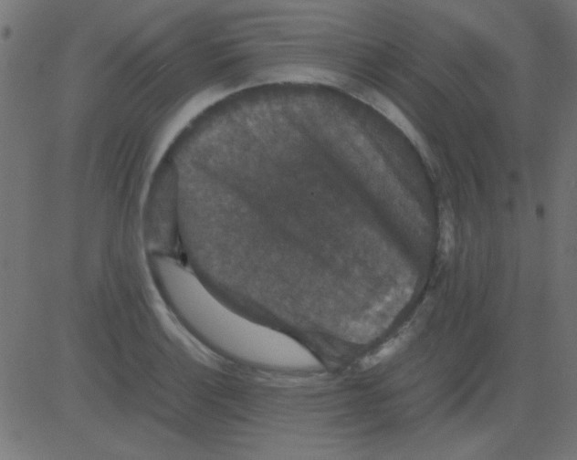 X0000081311132200702012328