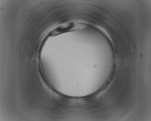 X0000081311133200702012328