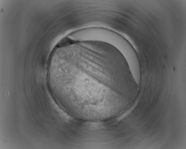 X0000081311134200702012328