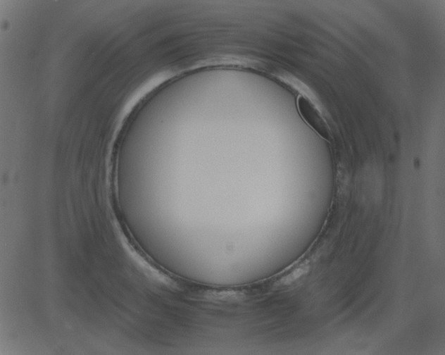 X0000081311135200702012328