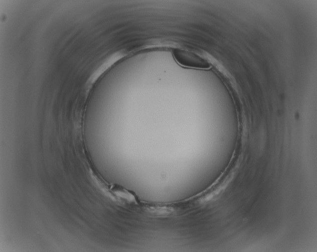 X0000081311137200702012328