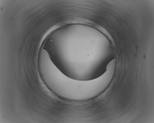 X0000081311138200702012328