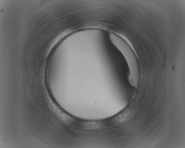 X0000081311139200702012328