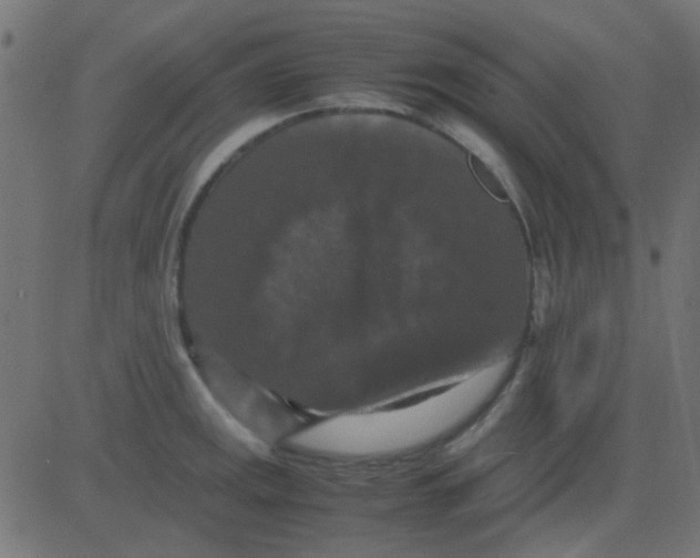 X0000081311141200702012328