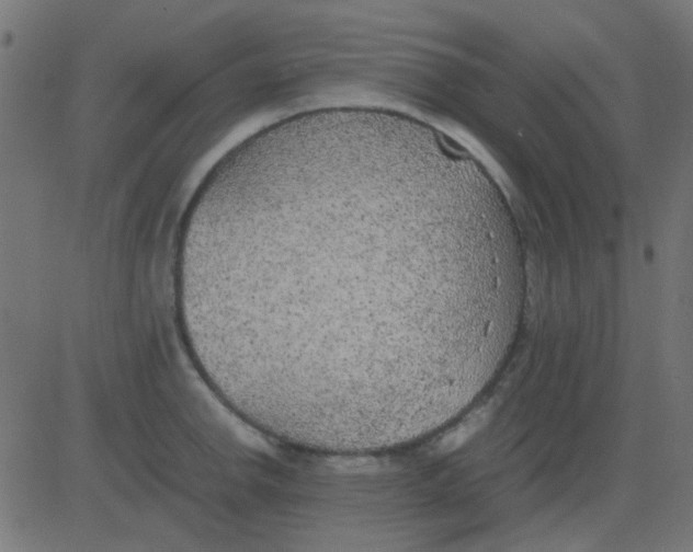 X0000081311142200702012328