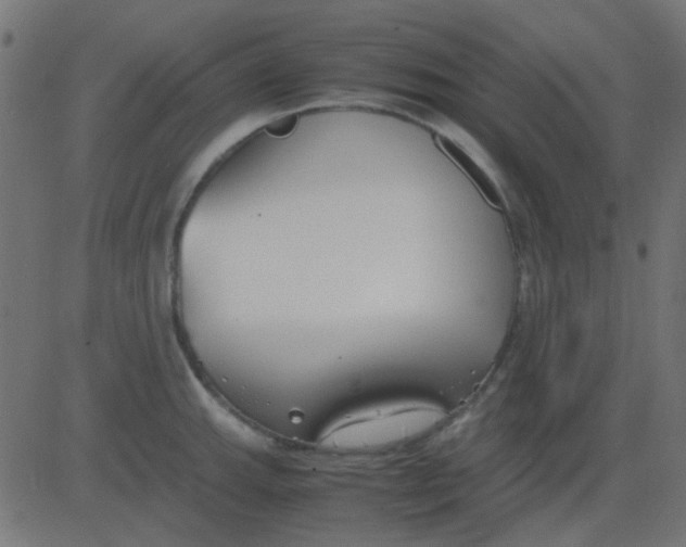 X0000081311143200702012328