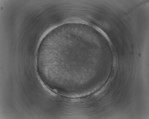 X0000081311144200702012328