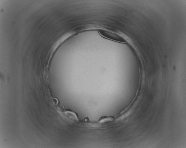 X0000081311145200702012328