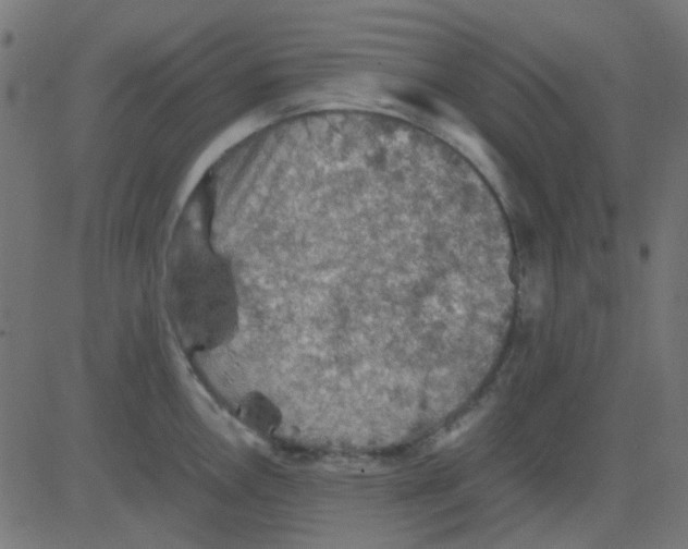 X0000081311146200702012328