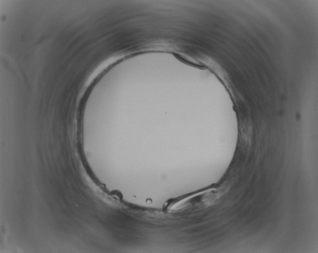 X0000081311147200702012328