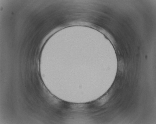 X0000081311150200702012328