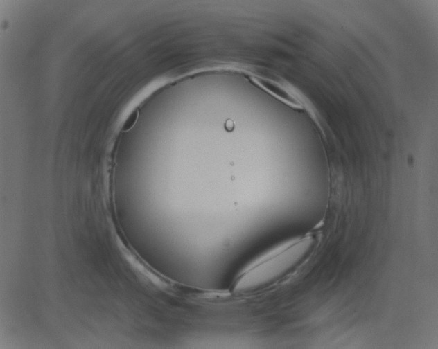 X0000081311151200702012328