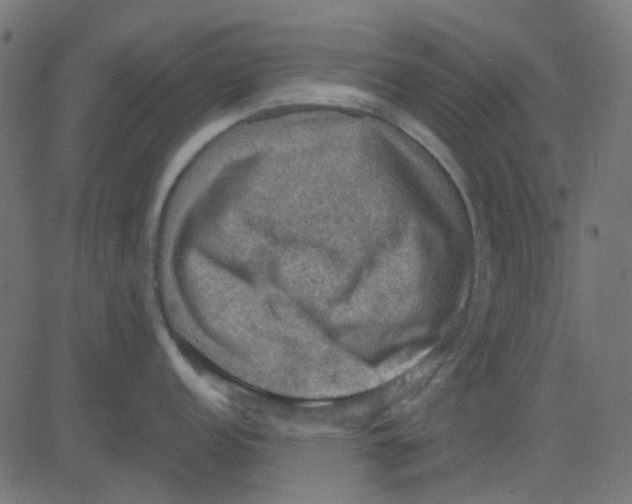 X0000081311152200702012328