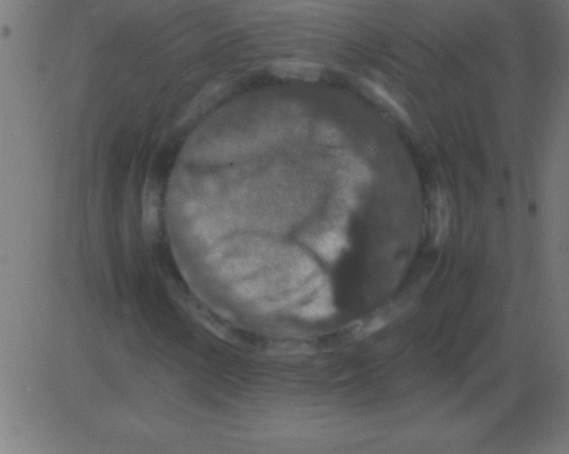 X0000081311154200702012327