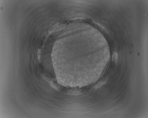 X0000081311156200702012327