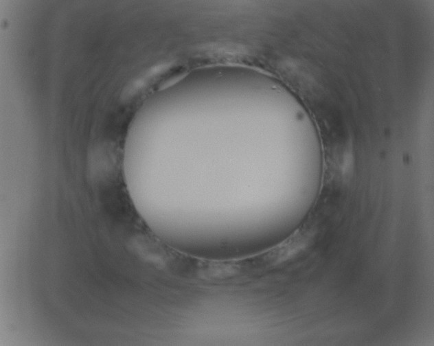 X0000081311157200702012327