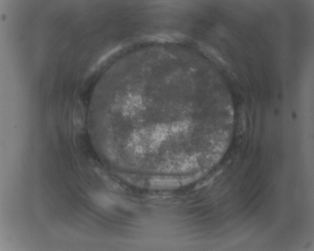 X0000081311158200702012327