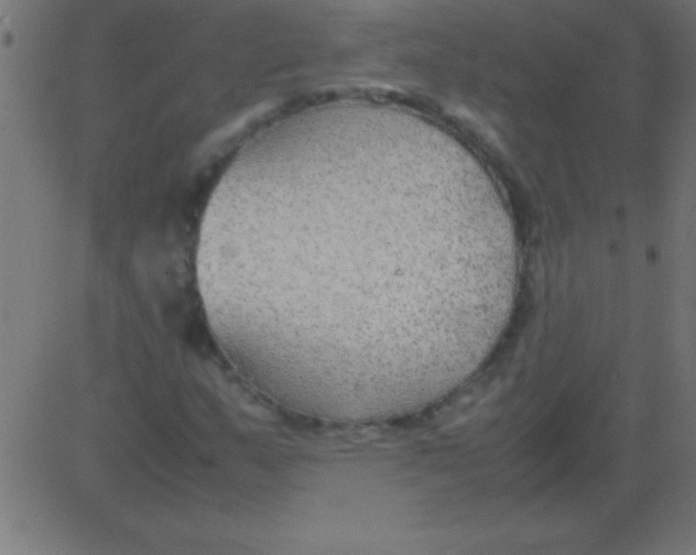 X0000081311159200702012327