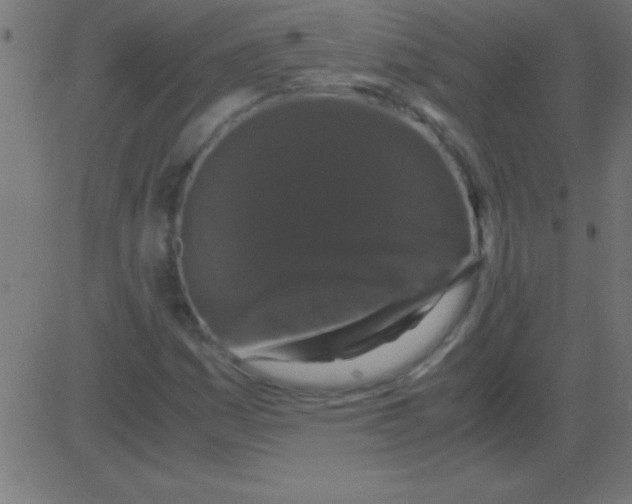 X0000081311161200702012327