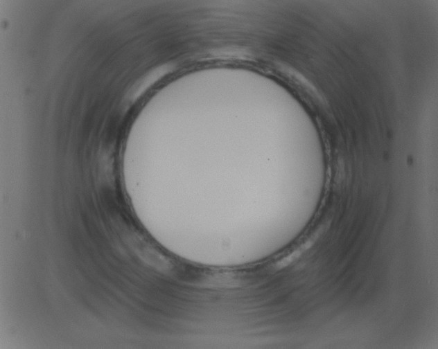 X0000081311162200702012327